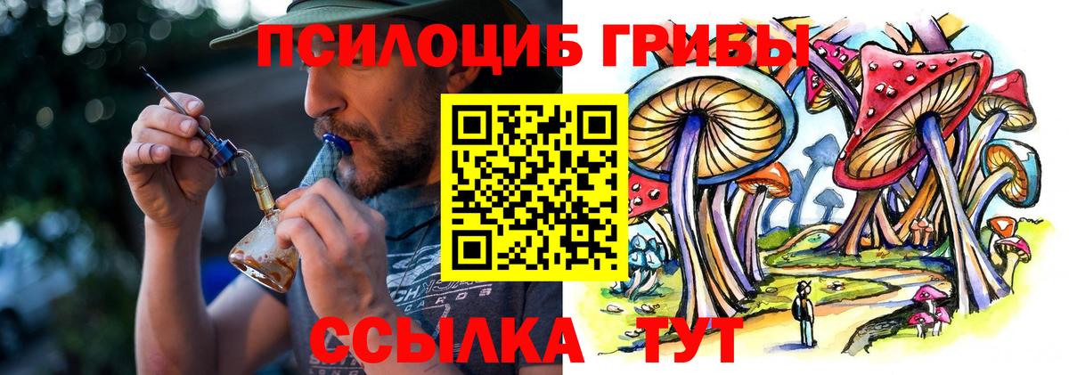 Псилоцибиновые грибы мицелий Саратов