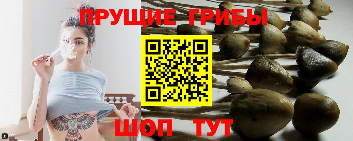 Галлюциногенные грибы Magic Shrooms  Вход с VPN  Саратов  Галлюциногенные грибы ЛСД 